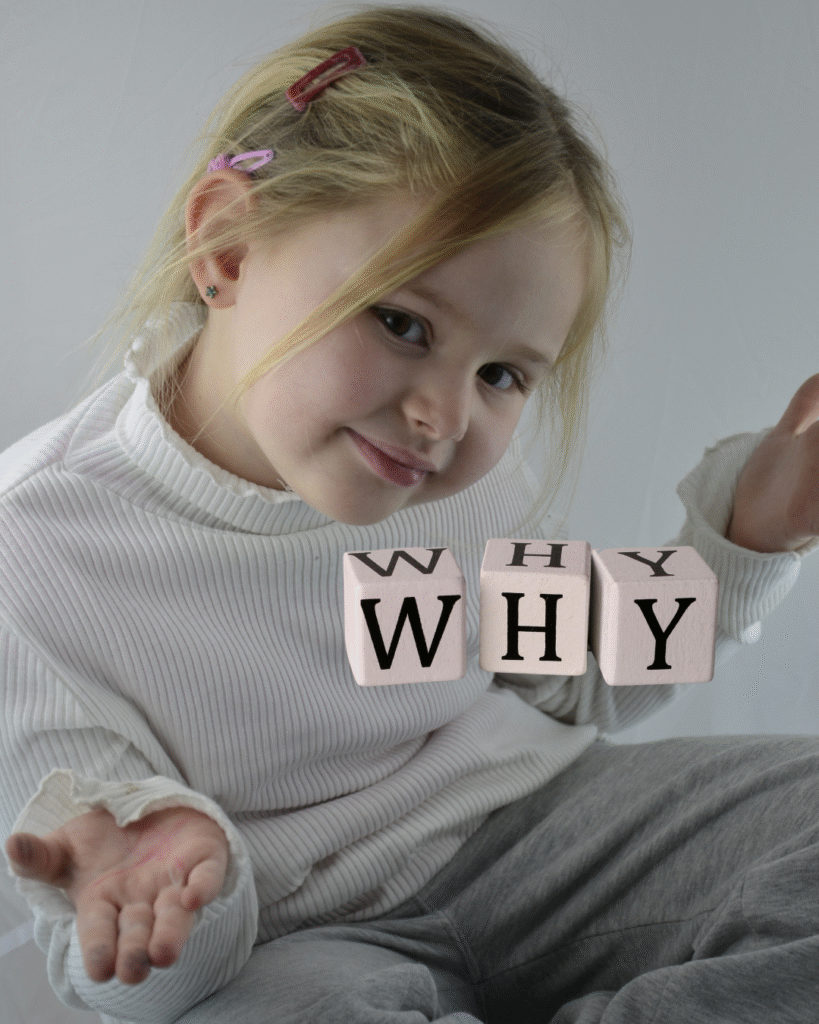 Kenapa Pilih Sewa Mobil Private di JB?