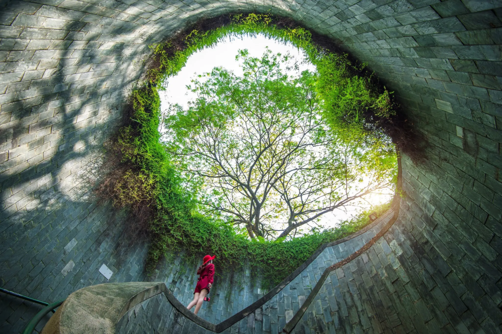 Fort Canning Park – Spiral Staircase & Tree Tunnel