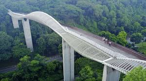 Henderson Waves Bridge