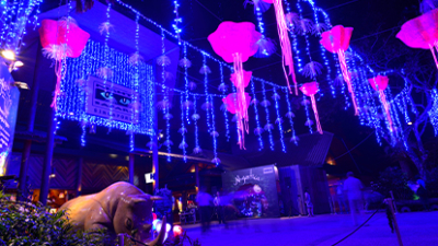 singapore night safari