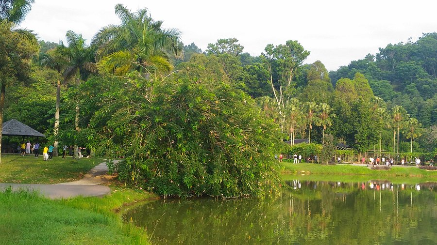 FRIM Kepong