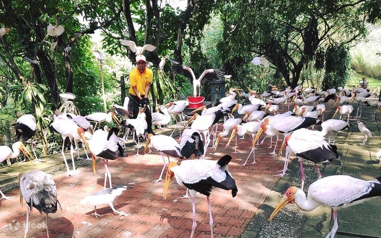 KL Bird Park