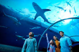 Aquarium KLCC