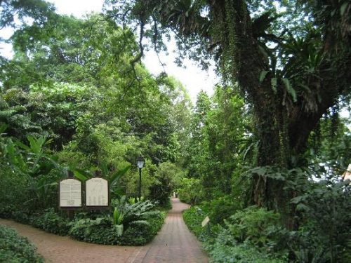 Taman Negara – Hutan Hujan Tertua Dunia