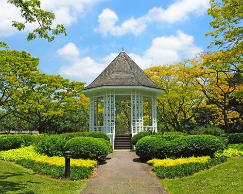 Taman Negara – Hutan Hujan Tertua Dunia