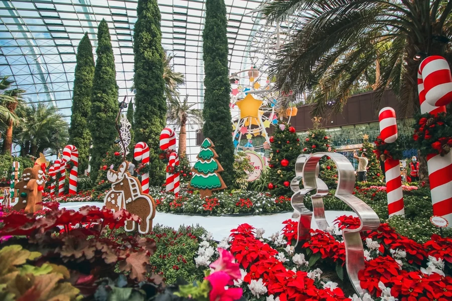 natal gardens by the bay