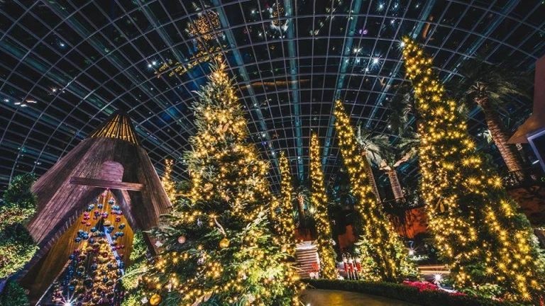 fti hemat natal di singapore