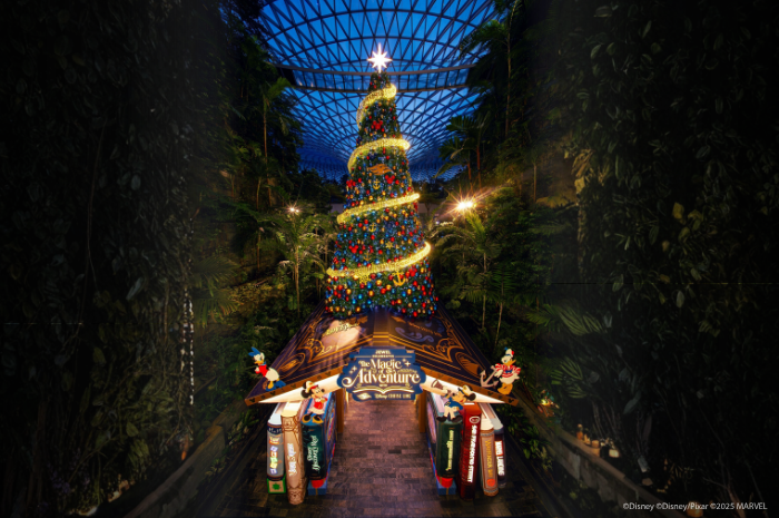 fti pohon natal