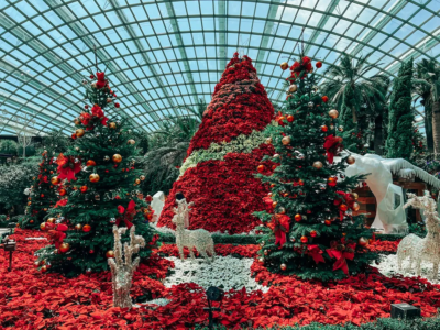 fti rental sewa mobil