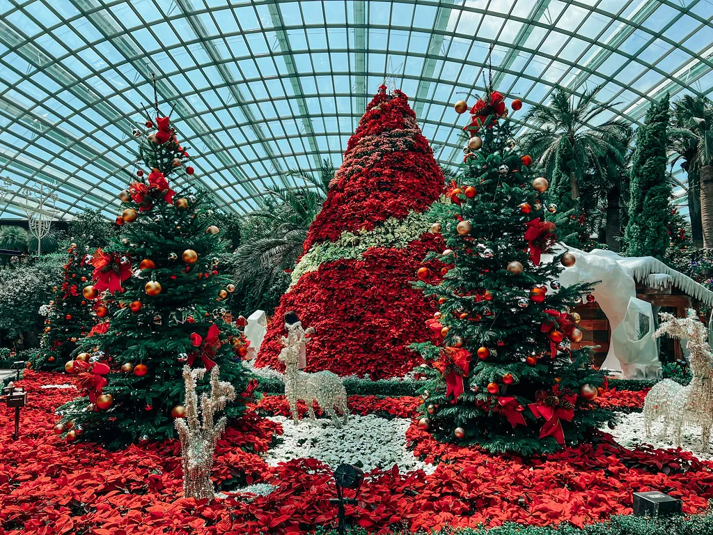 fti rental sewa mobil