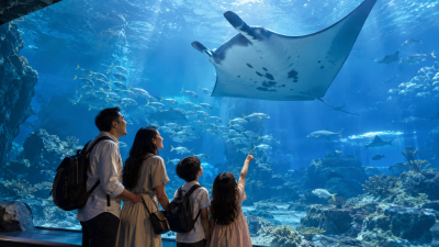 keluarga Indonesia mengunjungi Singapore Oceanarium di Sentosa